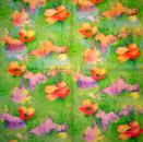 200 Anemones, Poppy - 3-ply - Chris Piper